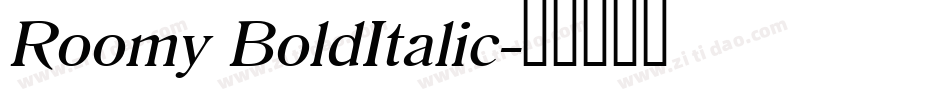 Roomy BoldItalic字体转换